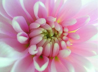 The only limit to your impact is your imagination and commitment. -Tony Robbins