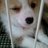 d2reo's profile image