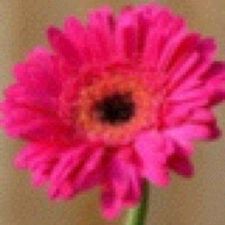 smayden22's profile picture. Being a wife, mother of two and a softball mom are what I get to do, but living my life saved by grace is who I am.