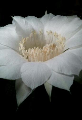 AuroraLpez3's profile picture. 