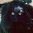 JediElvis007's profile image