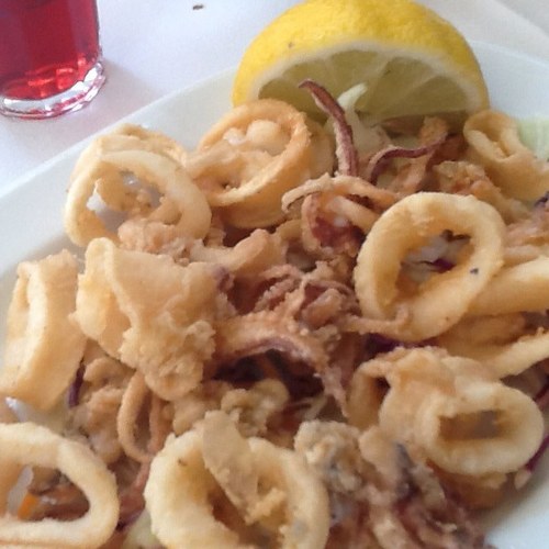 gbiechel's profile picture. 