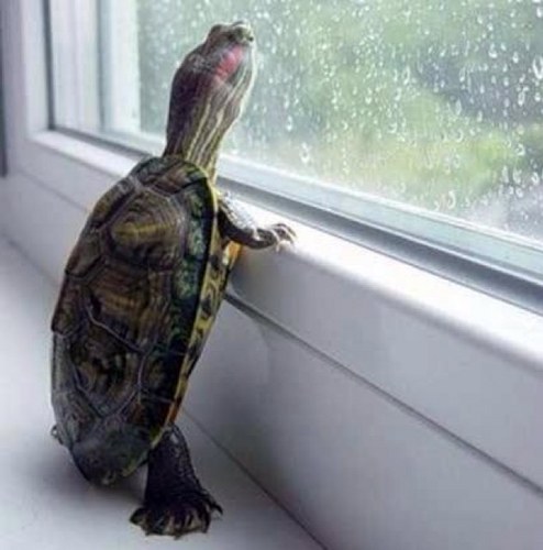 iomi07's profile picture. 