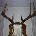 Steve Wellman - @steve_wellman - Twitter