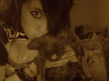 guitarist screamer in grunge 2piece shadow monster // writer creator of dark comedy stray cats