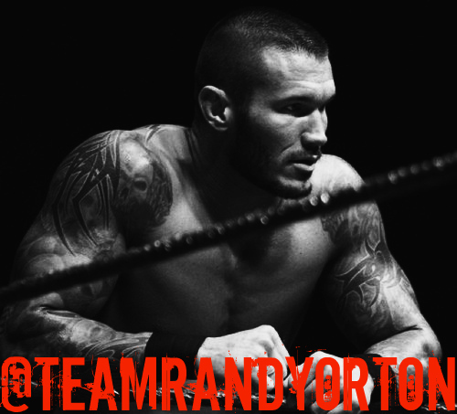 TeamRandy0rton's profile picture. Dedicated to the viper, apex predator, Randy Orton!Not Randy Orton, follow the viper - @RandyOrton.