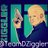 TeamDZiggler's profile image