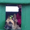 Thomas Linde - @linde_thomas - Twitter