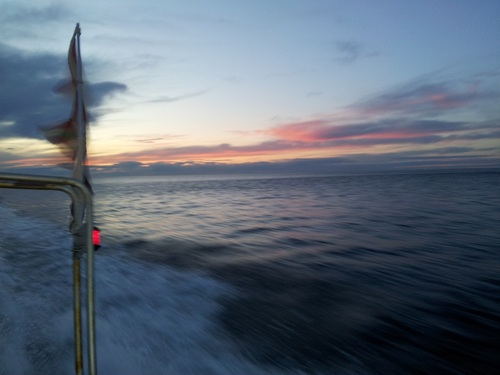 pulpitos32's profile picture. 