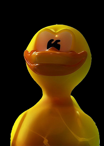 VIVID_DOT_COM's profile picture. poker player