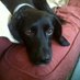 jenny c (@jennyclarke43) Twitter profile photo