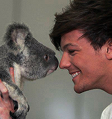 LTomlinsonFake's profile picture. 1/5 of One Direction.I love big red bus.NO! Jimmy protested! Some things I use to say :P {Single,gay}