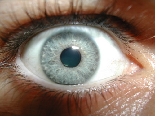 PUCH84's profile picture. 