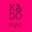 KADO_nyc's profile image