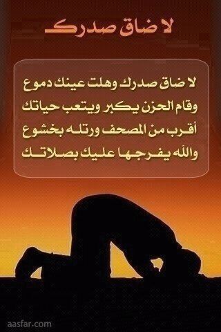 spis234's profile picture. 