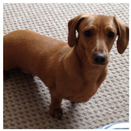 joanneharper5's profile picture. 