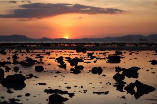 rwo8ert's profile picture. 