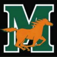 Mustang Swimming (@mustangswimming) 's Twitter Profile