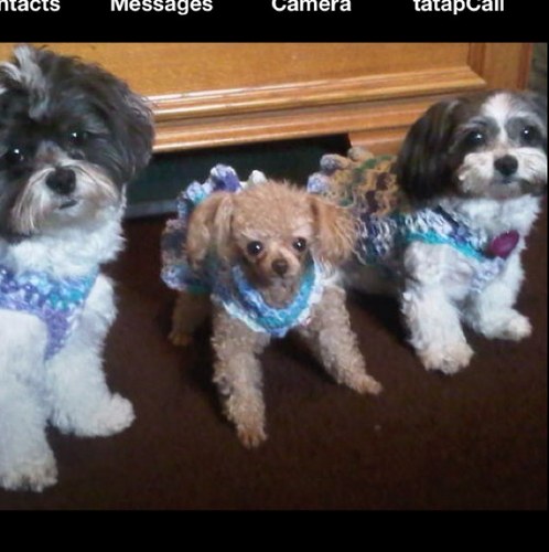 spiceflowergem's profile picture. 