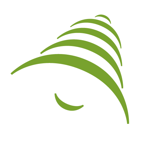 Daily news and updates on hearing loss, hearing aids, hearing loss treatment, as well as updates from our 25 hearing aid centers in Tampa, St petersburg Florida
