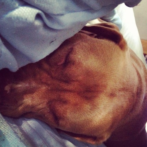 ECMLN11's profile picture. 