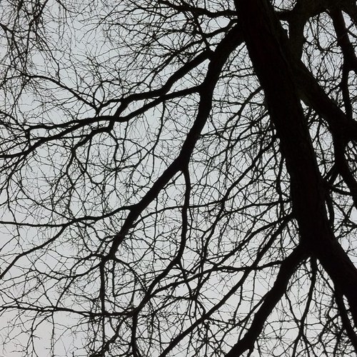 jonpjoel's profile picture. 