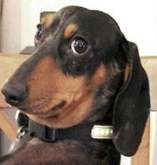 realgregprice's profile picture. 