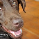 John Burnham - @jburnjb - Twitter