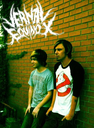 ░▒▓ // VERNAL EQUINOX //  ▓▒░
nintendocore