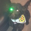 joe crick - @CrickJoe - Twitter