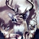 robert riggins - @kountryboy1623 - Twitter