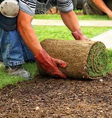 AYardofDreams's profile picture. Irrigation, landscaping, and lighting to improve your yard. 
Follow for questions.