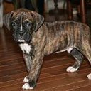 Diane Sarver - @diane_sarver - Twitter