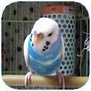 mplus28's profile picture. 頚椎ヘルニア(発育性脊柱管狭窄)／緊張型頭痛＆片頭痛／腰椎すべり症は手術済／右目は黄斑前膜の手術済。ついでに飛蚊症も治った／黄斑変性症。老眼もひどいド近眼／プロラクチノーマは経過観察中