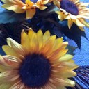 Holly Moir - @HollyMoir - Twitter