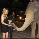 Erin Rouse - @e_rouse05 - Twitter