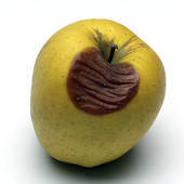 exploitedARS's profile picture. 