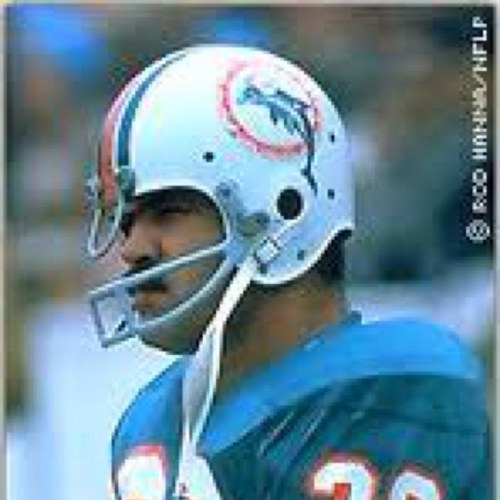 Larry Csonka Profile