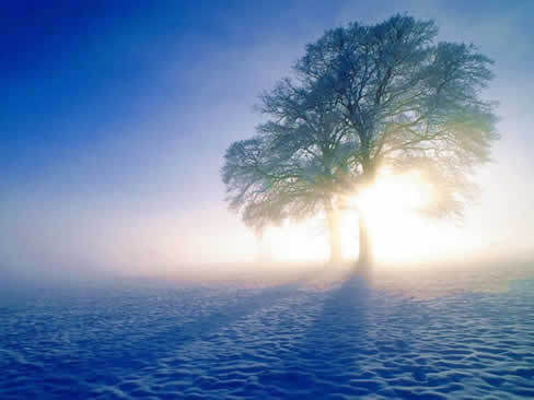 Pr0verbios's profile picture. Refrán de origen popular que contiene un consejo o una enseñanza moral.