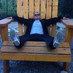 Gordon Piper (@gpiper81) Twitter profile photo Gordon Piper (@gpiper81) Twitter profile photo
