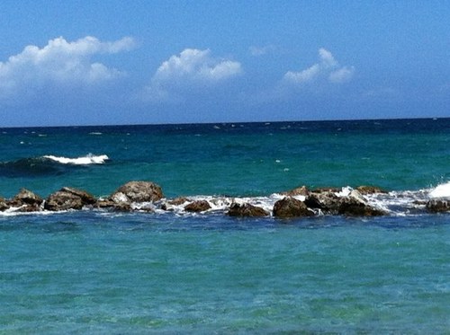 moe1217's profile picture. 