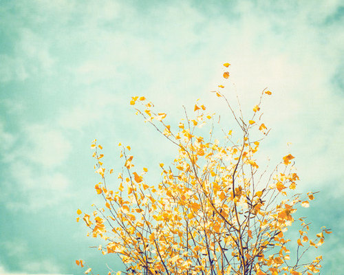 Happiness is a choice :).                                                                   NOKU