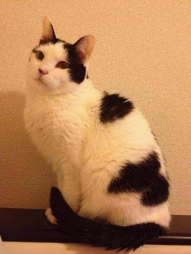 世界中のおいしいもの食べたい。