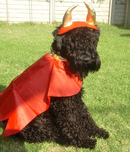 KCA's profile picture. Not the droids you're looking for. Move along.