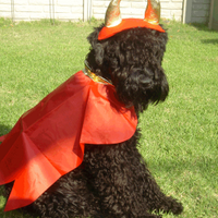 KillCorporateAmerica (@kca) 's Twitter Profile