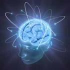 chowchowblack's profile picture. 