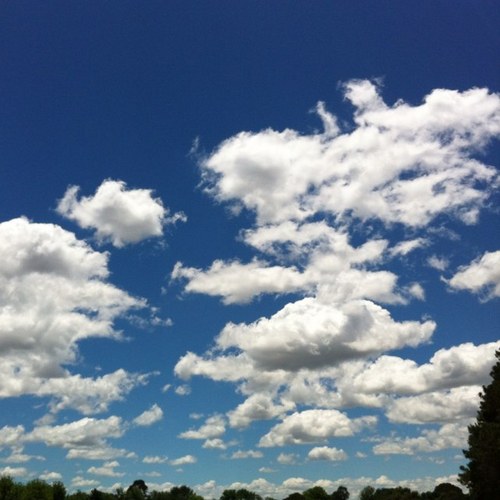 stang519's profile picture. Stay hungry, stay foolish