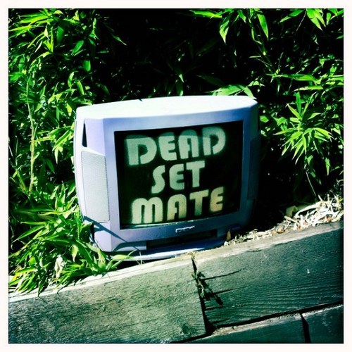 KnoxvilleGrrrl's profile picture. 