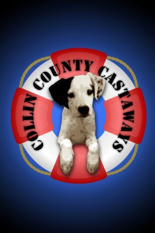 Collin County Castaways Rescue - Providing Hope and Second Chances for Those Left Behind