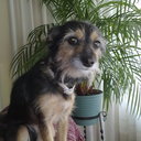 Gemma Jimenez - @GemmaJimenez1 - Twitter